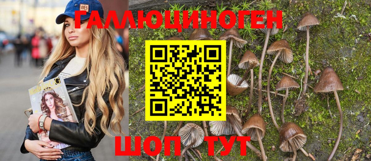 Псилоцибиновые грибы Psilocybe  Псилоцибиновые грибы Cubensis  Вход с VPN  Кашира 