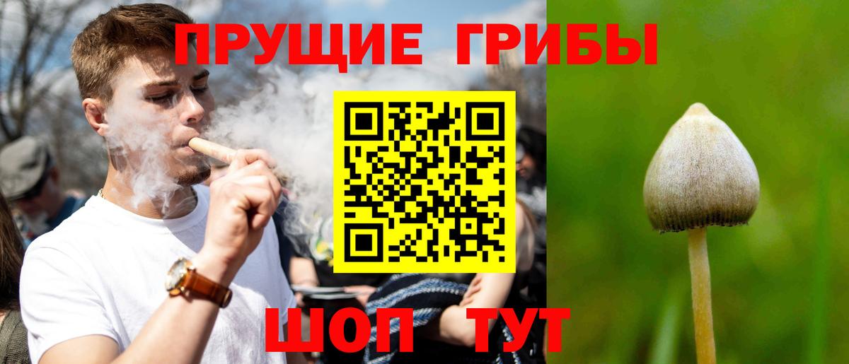 Галлюциногенные грибы MAGIC MUSHROOMS Кашира